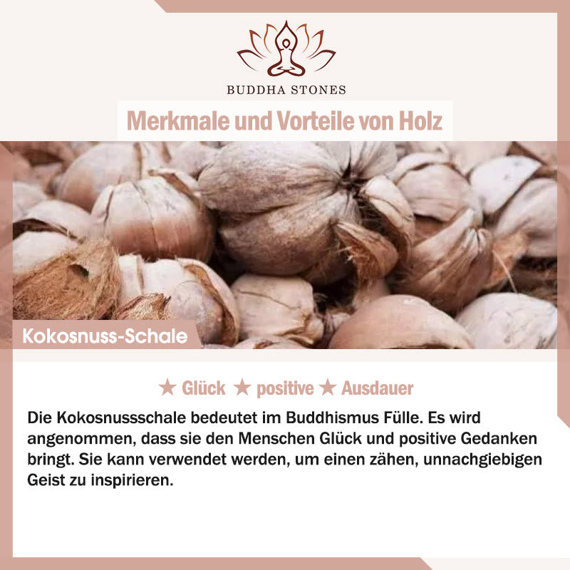 Tibetisches Cyan Bodhi Seed Dzi Perlen-Kokosnussschalen-Armband, das böse Geister fernhält