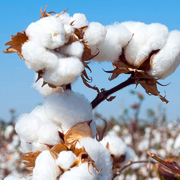 Buddha Stones, Meditation, Zen-Gebet, spirituelle Tai-Chi-Qigong-Praxis, Unisex-Stickerei-Kleidungsset - image 19