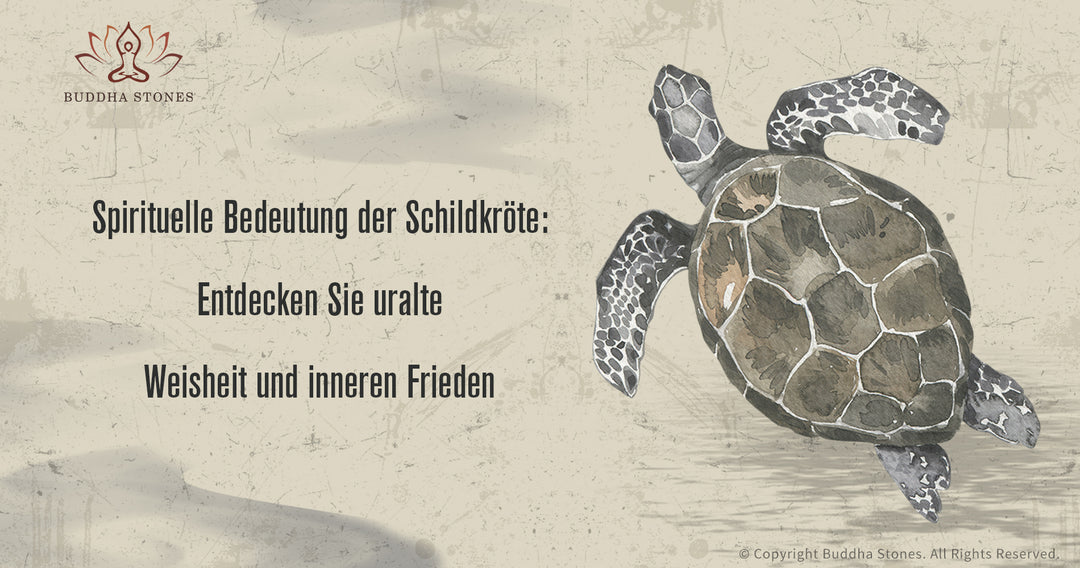 Spirituelle Bedeutung der Schildkröte : Entdecken Sie uralte Weisheit und inneren Frieden