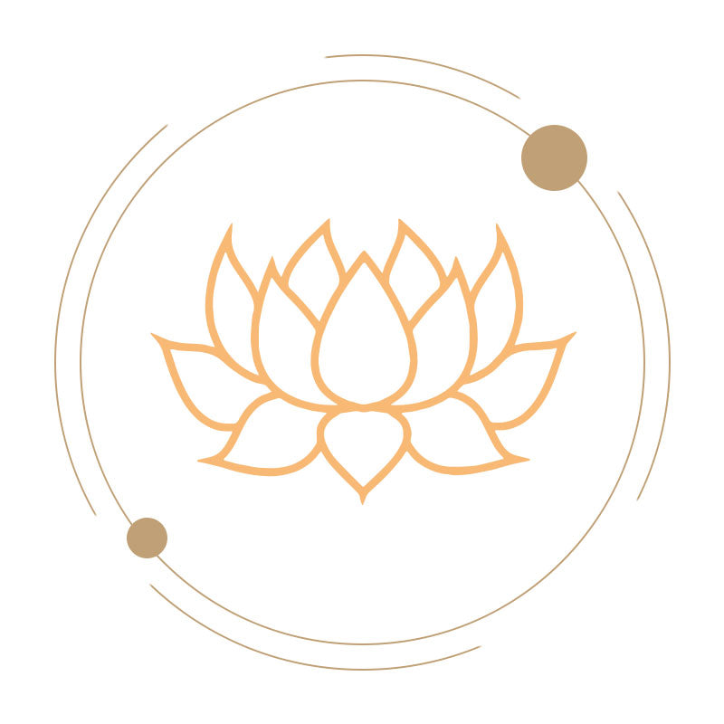 LOTUS-ERLEUCHTUNG & NEUANFÄNGE-yxm