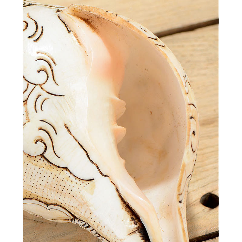 Tibetische handgemachte gravierte Shankha Buddha Avalokitesvara Conch Shell Reichtum Dekoration - image 5