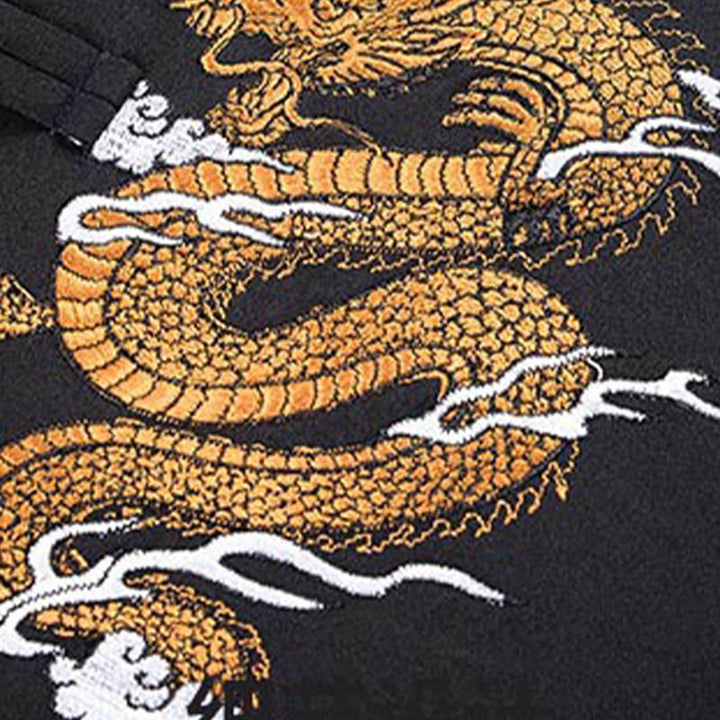 Buddha Stones, Drachen-Stickerei, Frosch-Knopf, Polyester, Herrenjacke, Hemd, Kleidung mit Taschen - image 11
