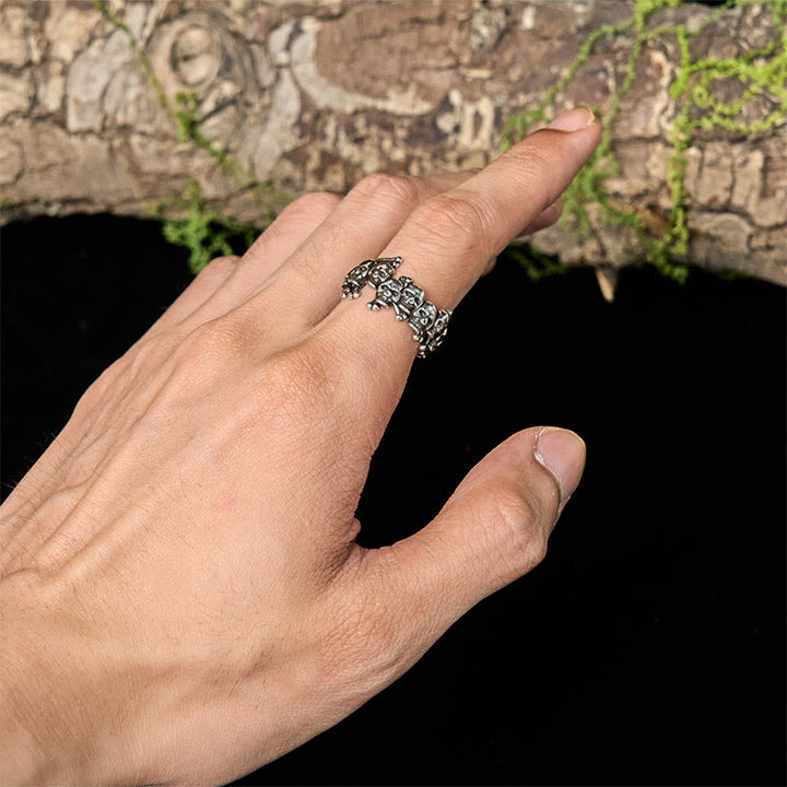 Buddha Stones, Kupfer-Totenkopfknochen, der Herr des Leichenwaldes, hält böse Geister fern - image 4