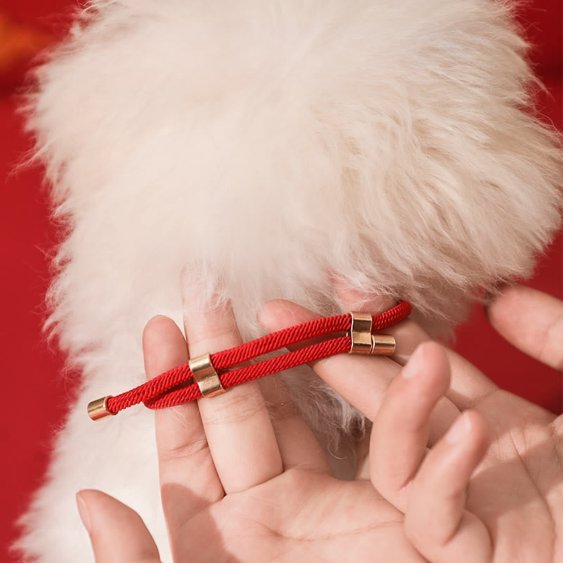 Buddha Stones -Metallanhänger mit roter Schnur – Frieden, Freude, Segen und Schutz – Verstellbares Halsband für Katzen und kleine Hunde - image 10