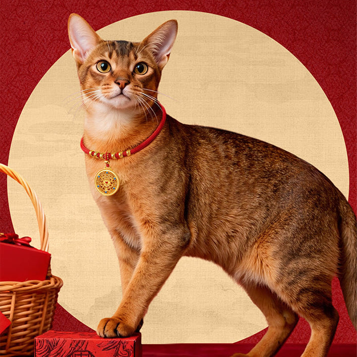 Buddha Stones Rotes Kordelperlen-Kompass-Kürbis-Schutzhalsband für Katzen und Hunde, verstellbar - image 12