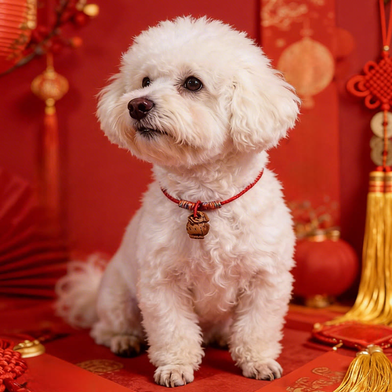 Buddha Stones Geflochtenes, pfirsichfarbenes Halsband mit roter Schnur, verstellbar, für Katzen und Hunde - image 13