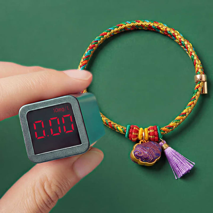 Buddha Stones Handgewebtes Armband mit fünffarbiger Kordel, Glückslila, Brokat, chinesischem Schloss-Anhänger, Apfel-Geldbeutel, Kürbis-Zongzi-Anhänger, verstellbar - image 13