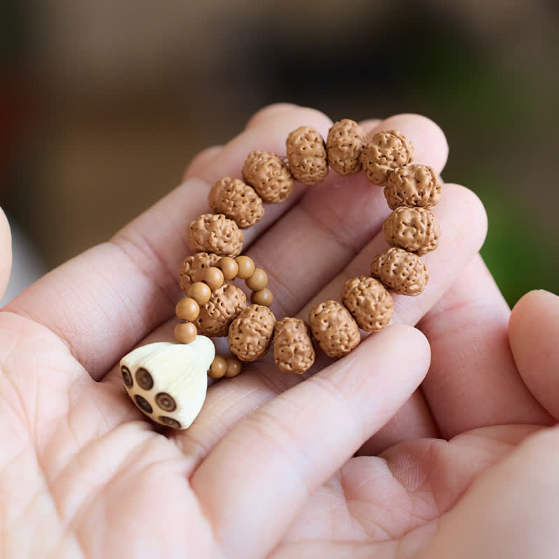 Buddha Stones Vajra-Samen, handpolierter Lotus-Schoten-Anhänger, taktile Meditationsperlen, Dekorationen - Lotus (Erleuchtung ♥ Neuanfänge) - image 0
