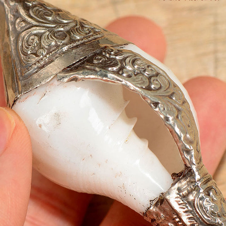 Tibetische natürliche Shankha-Muschelmuschel, Reichtum, Glück, Heimdekoration - image 5