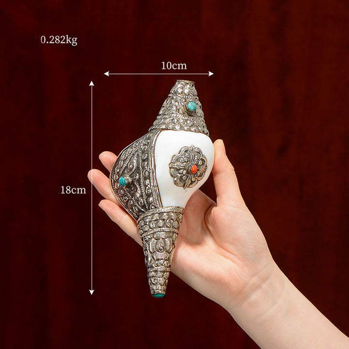 Tibetische natürliche Shankha-Muschelmuschel, Reichtum, Glück, Heimdekoration - Mittlere Muschel 18 x 10 cm - image 3