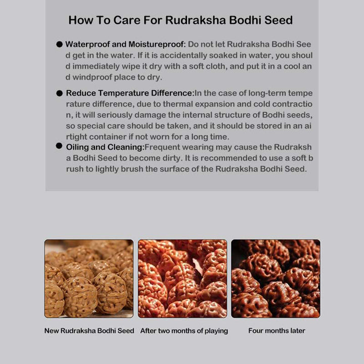 Buddha Stones Tibetisches Rudraksha-Bodhi-Samen-Achat-Reichtumsarmband