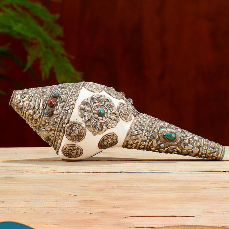 Tibetische natürliche Shankha-Muschelmuschel, Reichtum, Glück, Heimdekoration - image 9