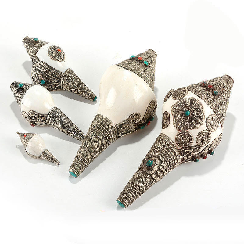 Tibetische natürliche Shankha-Muschelmuschel, Reichtum, Glück, Heimdekoration - image 19