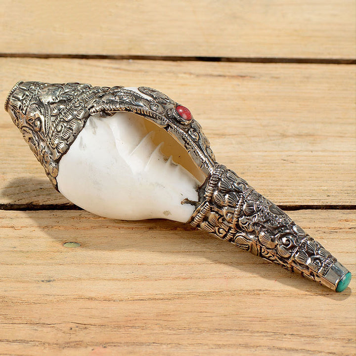 Tibetische natürliche Shankha-Muschelmuschel, Reichtum, Glück, Heimdekoration - image 7