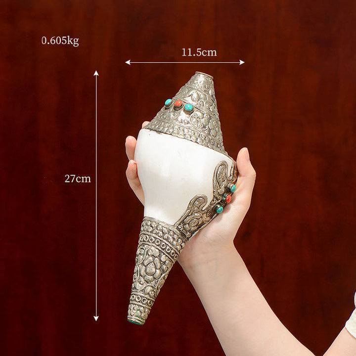 Tibetische natürliche Shankha-Muschelmuschel, Reichtum, Glück, Heimdekoration - Große Muschelhorn 27 x 11,5 cm - image 4