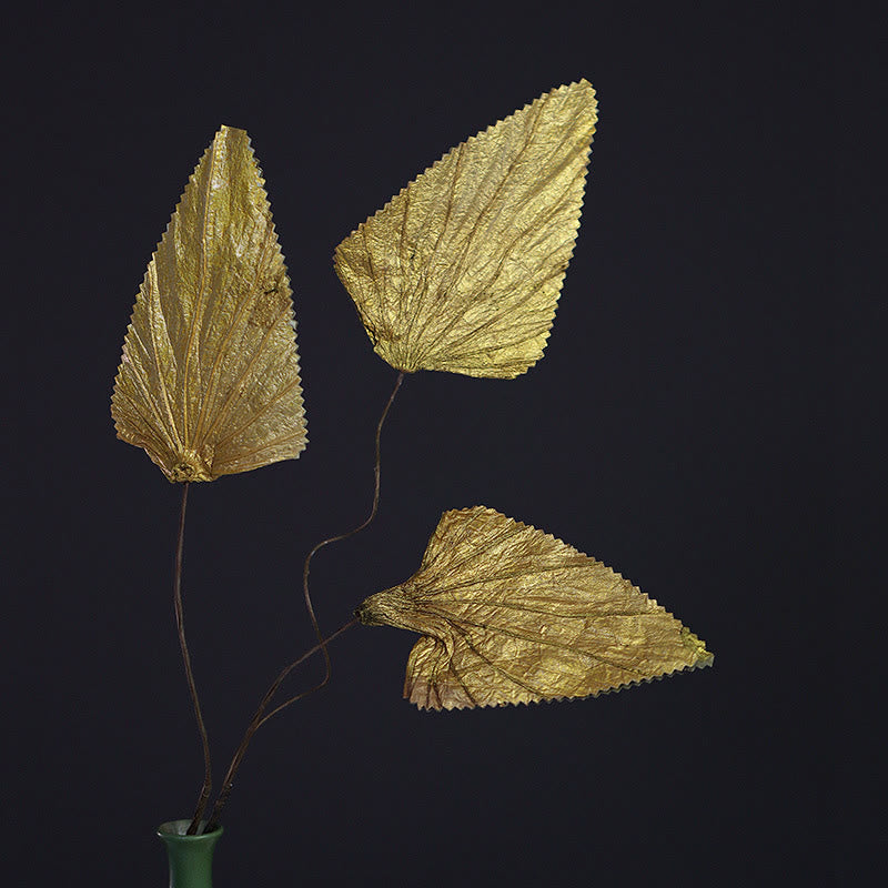 Natürlicher, getrockneter dreieckiger Lotusblatt-Pflanzenstrauß, Heimdekoration, Ornamente - 10 Goldblätter - image 4