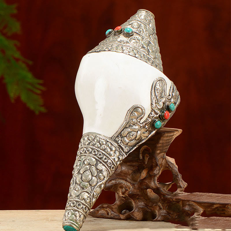 Tibetische natürliche Shankha-Muschelmuschel, Reichtum, Glück, Heimdekoration - image 14
