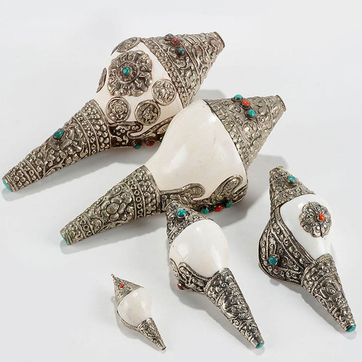 Tibetische natürliche Shankha-Muschelmuschel, Reichtum, Glück, Heimdekoration - image 20