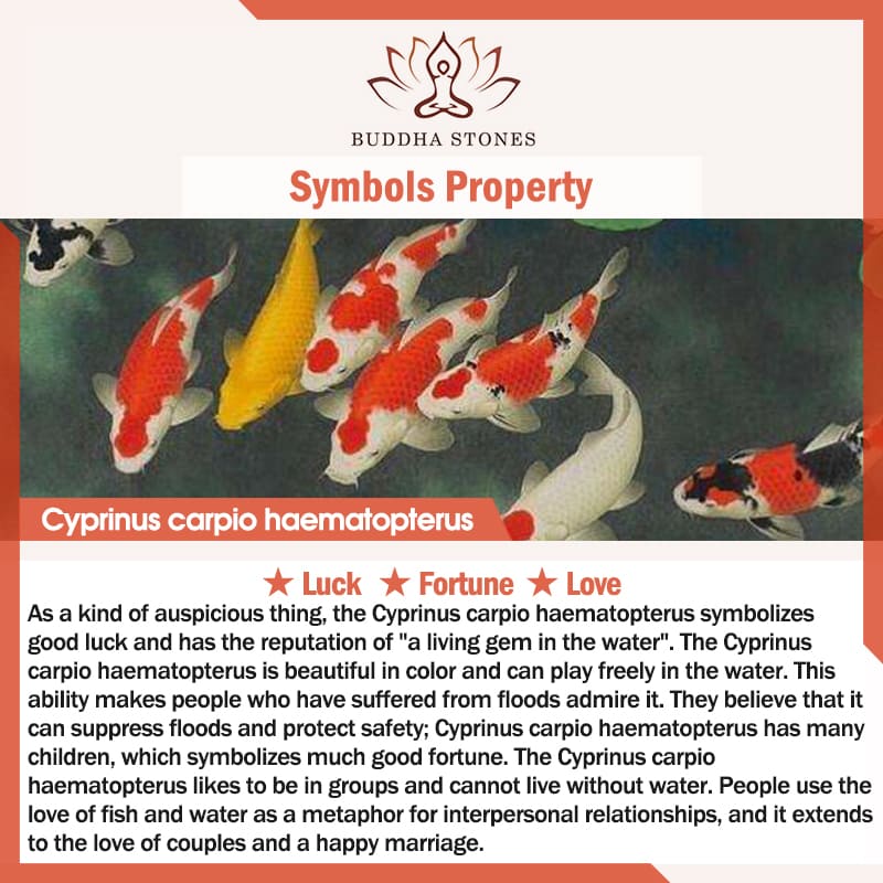 FengShui Jade Koi Fortune Ohrringe