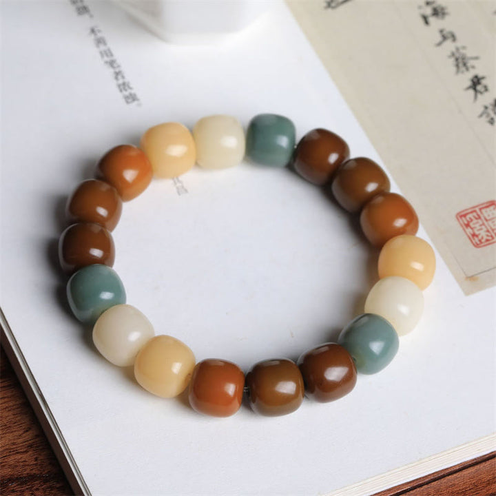 Mehrfarbiges Bodhi-Samen-Armband mit Buddha Stonesn hält böse Geister fern