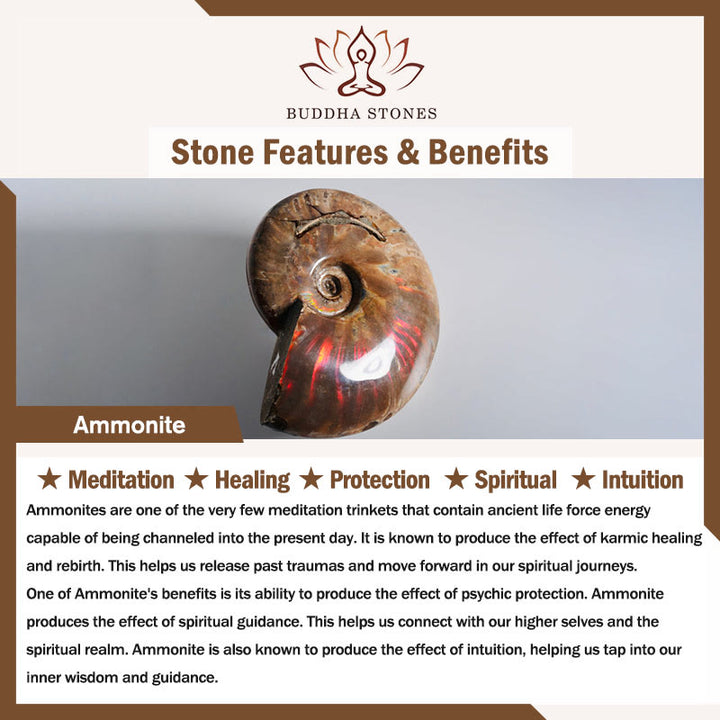 Buddha Stones, natürlicher Ammonit-Fossil, Schneckenmuster, Meditation, Heilung, Halsketten-Anhänger